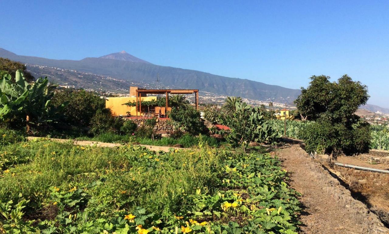 Finca La Plantacion _Agroturismo La Orotava Eksteriør bilde